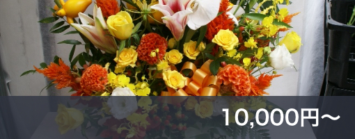 10000-