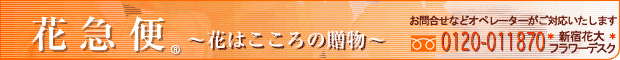 Ԃ͐S̑蕨`ԋ}ց`