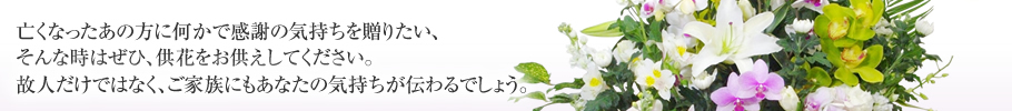 亡くなったあの方に何かで感謝の気持ちを贈りたい、そんな時はぜひ、供花をお供えしてください。故人だけではなく、ご家族にもあなたの気持ちが伝わるでしょう。