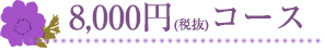8,000円コース