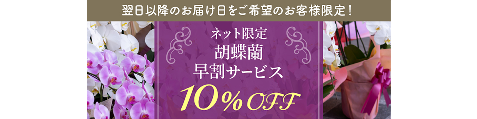 ネット限定胡蝶蘭早割サービス