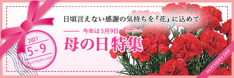 花 花束の当日配達は花急便へ 花キューピット加盟店