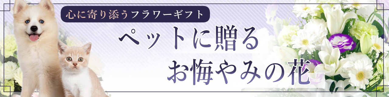 ペット大