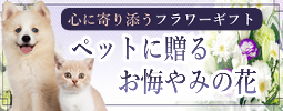 ペットsmall