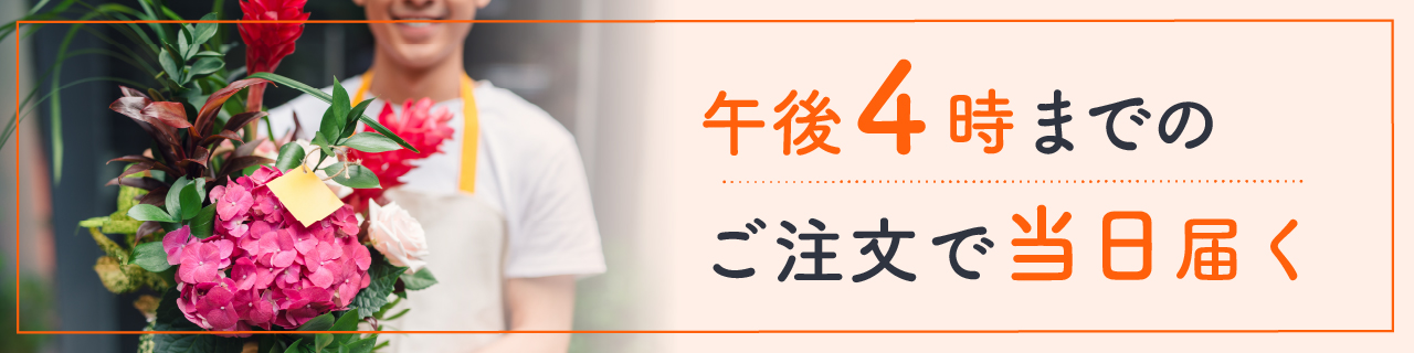当日商品TOP
